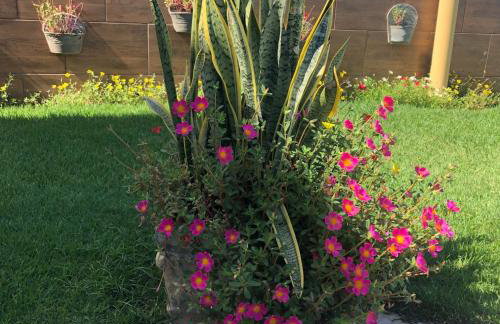 Casa a beira mar com 4 suites e muito conforto - Photo 17