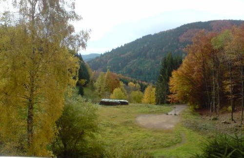 Haus Wiesental - Foto 35