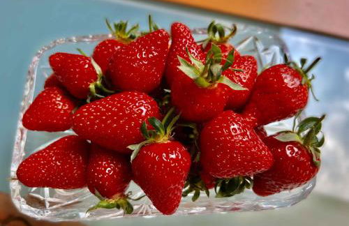 Ferienwohnung Taunusurlaub - Foto 10