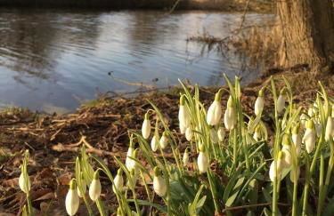 Ferienhaus Scholien - Foto 42