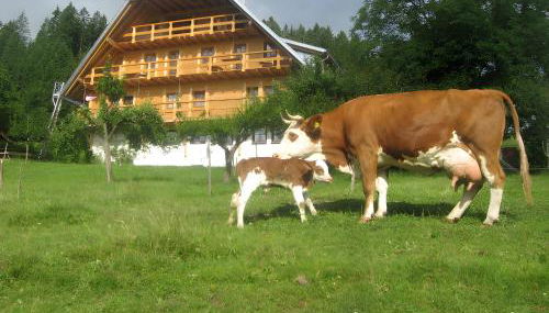 Sigmundenhof Schonach - Foto 2