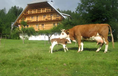 Sigmundenhof Schonach - Foto 2