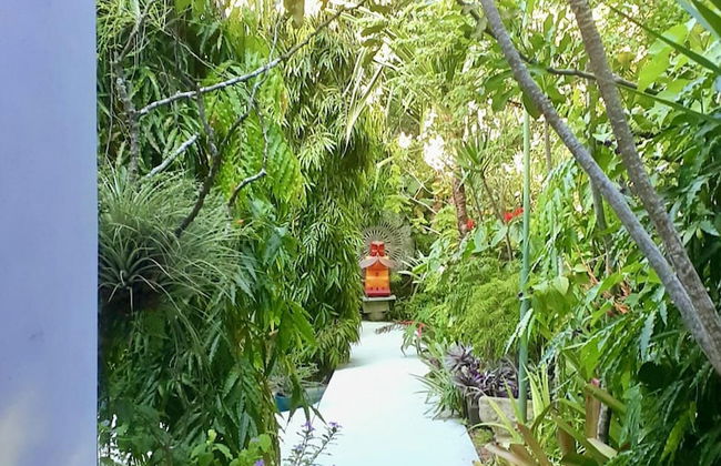 Unique Art Nature Hideaway Walkable to Wilton Drive - Foto 32