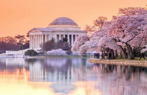 ComfiNook Stay in Capitol HillWalk to DC Sites - Foto 32