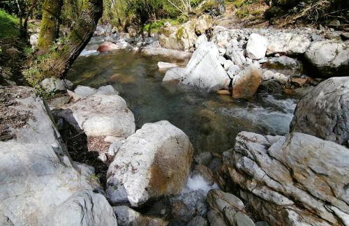 Els Pins d'Abella - Foto 58