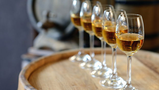 Arrábida, Sesimbra e Setúbal - Tour Privado de Dia Inteiro - Foto 3