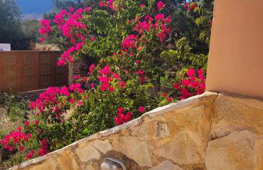 Ancient Greek Villa - Foto 26