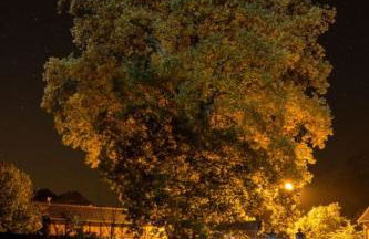 Ferienhof Meyer - Foto 32