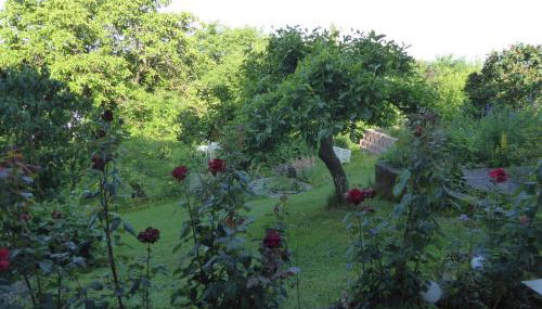 Ferienwohnungen Dora - Foto 4, Garden, Garden view