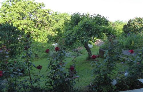 Ferienwohnungen Dora - Foto 4