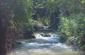 CASA RURAL CASCO ANTIGUO - Photo 52