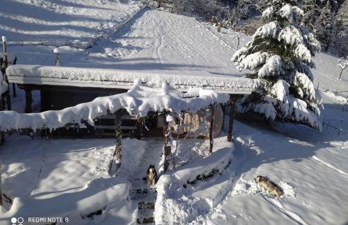 Forsthaus Trabronn | Sauna | eingezäunt | Grillplatz - Photo 59