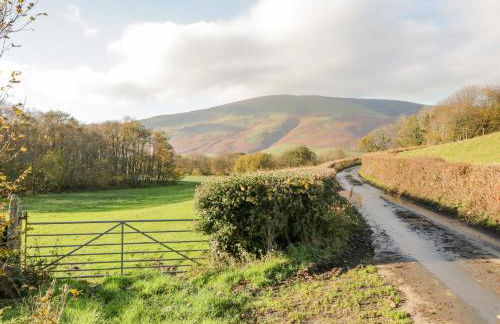 Holme Fell - Foto 66