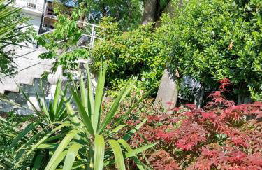 Golden Oasis - Foto 24