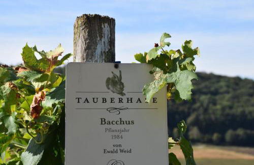 Ferienwohnung Tauberzell - Foto 20