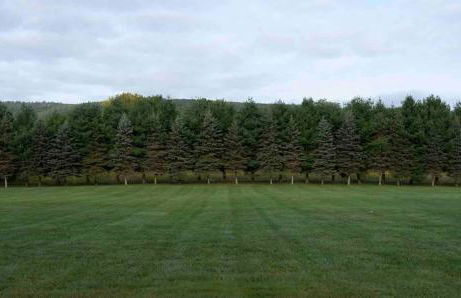 Longpond Cellars and Farms 40Acre Estate - Foto 16