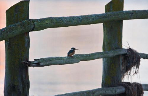 Ferienhaus Tura - Foto 45