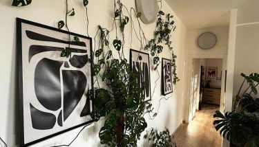 Como's Hill Apartments Giungla - Foto 3