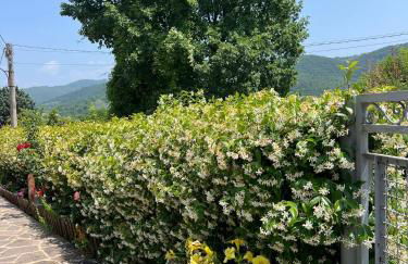 Villino Il Gelsomino - Relax e Natura - Foto 34