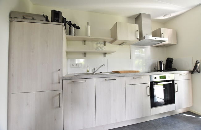 Holiday Home in Reutum With Sauna - Photo 10