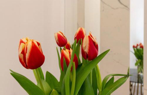 Suite Cagliari - Foto 6