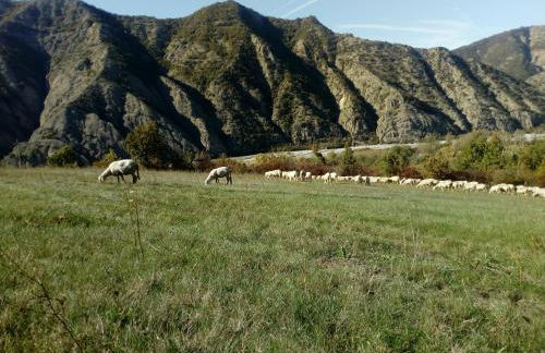 Ciuchi House - Foto 16