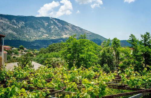 Garbis Garden View - Photo 9