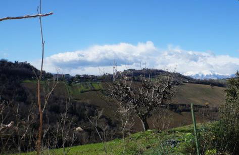 Casa di Tony - Foto 5