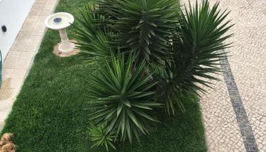 Villa Kethellen - Foto 4, Garden, Garden view