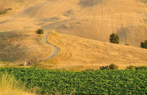 Villa in Alia With Pool & Olive Views - Foto 60