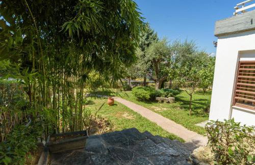 An Edens Garden Near The Sea - Pansion Youli - Foto 1