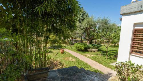 An Edens Garden Near The Sea - Pansion Youli - Foto 1, Garden, Garden view