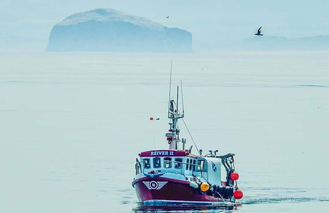 Stunning Shore Front House in Historic Cellardyke - Foto 23