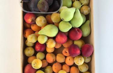 Agriturismo Villani Poderi Nesti & Cupoli - Photo 23