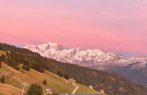 Appt T2 Les Saisies, 37m², Animaux admis, Parking - FR-1-293-382 - Foto 11