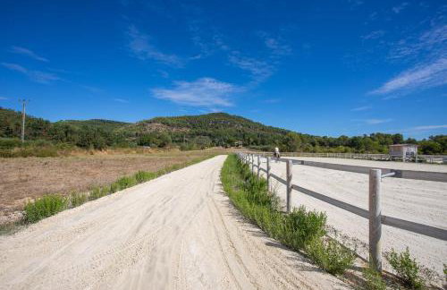 Gite Aux Écuries du Mas di Gau - Foto 9