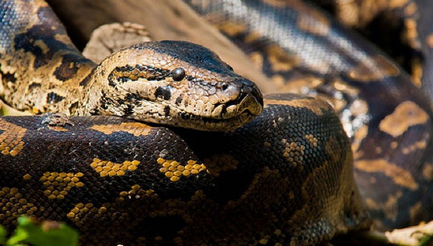 Recorrido por Nairobi - Foto 5