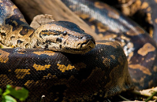 Recorrido por Nairobi - Foto 5