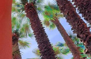 Villa de prestige en bord de mer dans la baie de Cannes - Foto 47