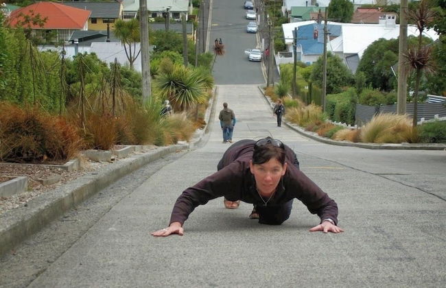 Baldwin Street BNB - Foto 48