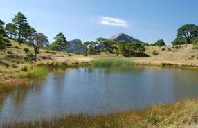 Apartament Dertosa - Foto 46