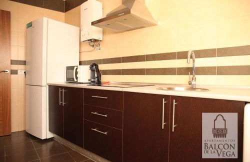 Apartamentos Balcón de la Vega - Foto 16