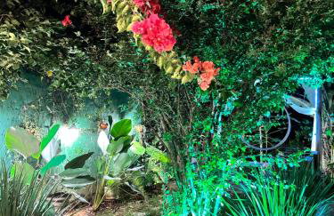 Gbsitio - Foto 24