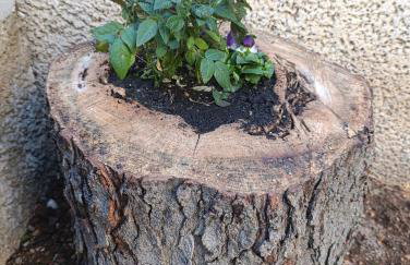 Apartment Marta - free parking! - Photo 41