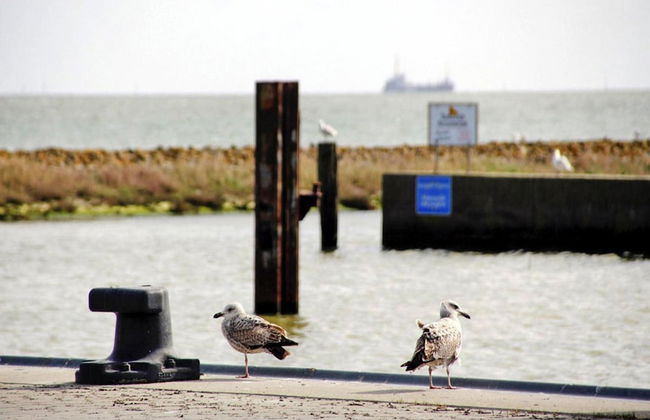 Bungalow Kabeljau, Dornumersiel - Foto 9