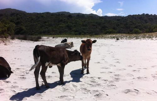 Appartement 2 terrasses face mer de 100m2 - Foto 36