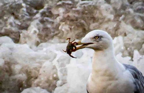 The Beach Hut - Foto 18