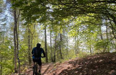 Dionisia's Home, Pool, Spa on Monviso UNESCO ALPS - Foto 50