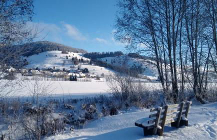 FeWo mit Pool Haus Enere Au - Foto 19