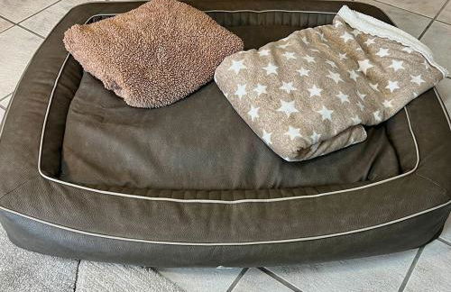 Ferienwohnung GoodTimes - Foto 13